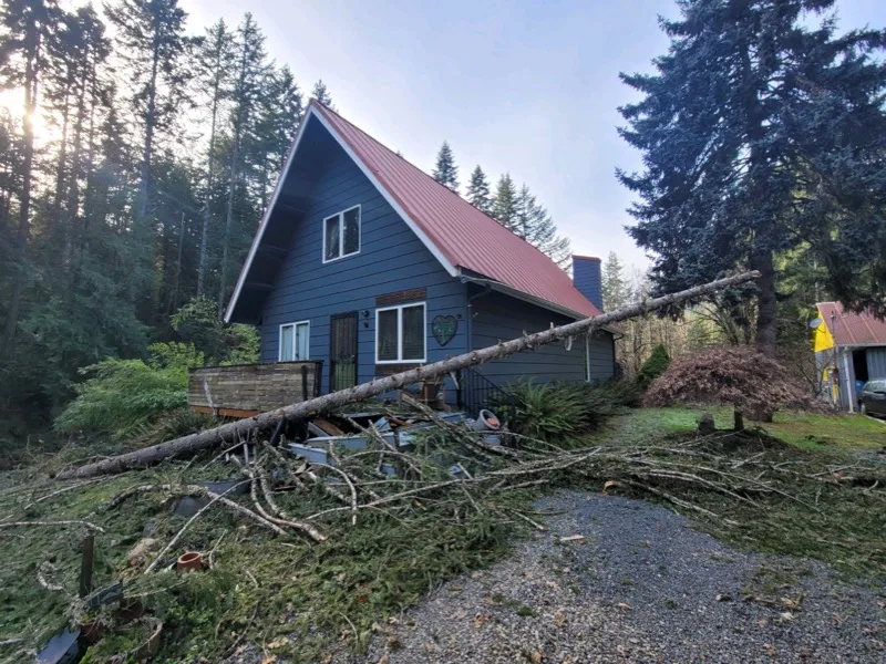 Before: storm-felled tree across the front of an Oregon home